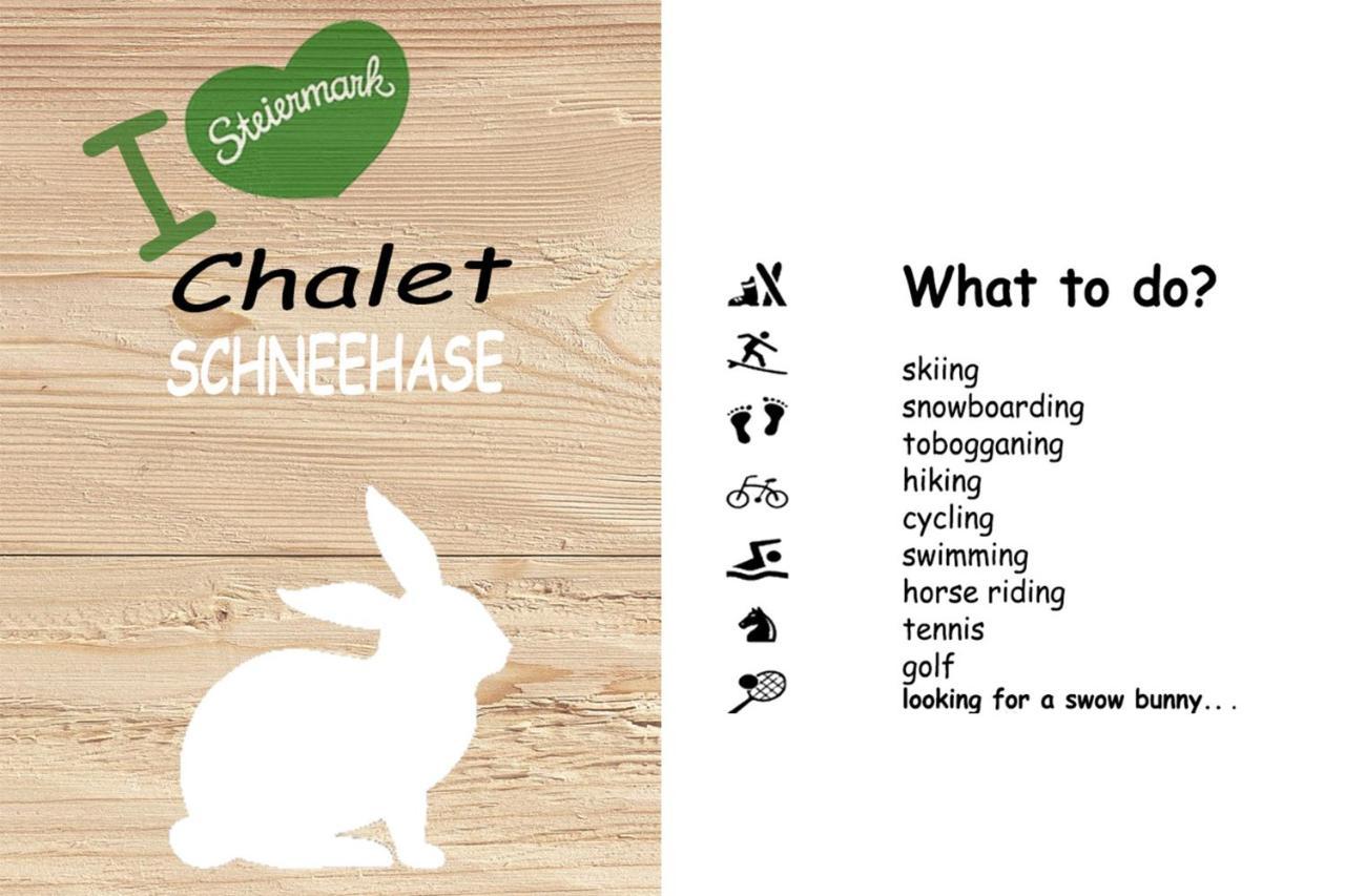 Chalet ?Snow Bunny? Stadl an der Mur Luaran gambar