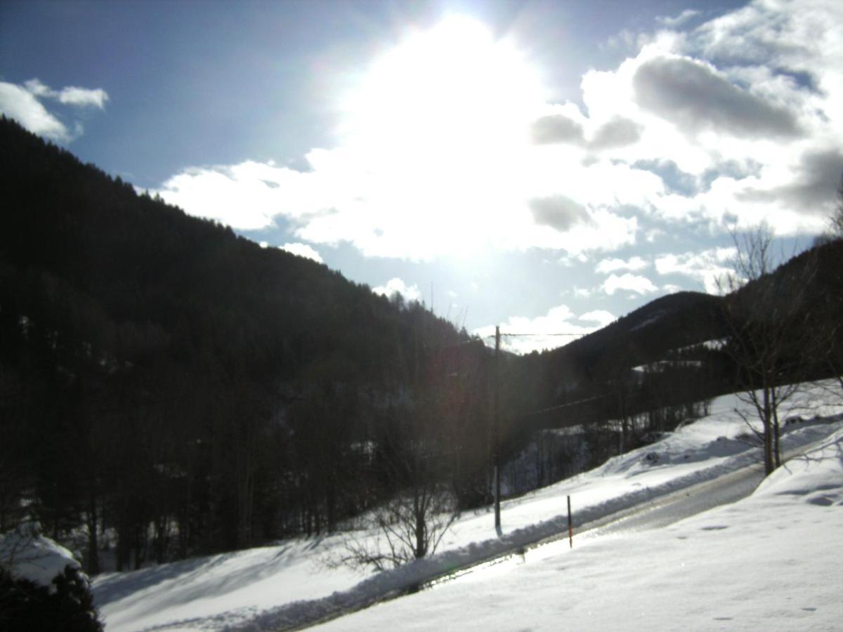Chalet ?Snow Bunny? Stadl an der Mur Luaran gambar